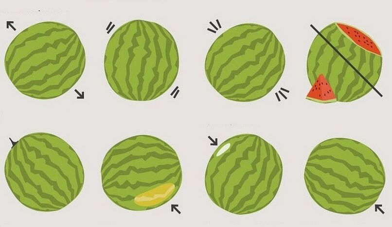 comment choisir une pastèque